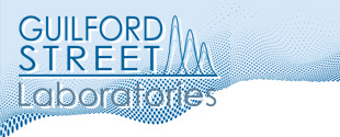 Guilford Street Labs